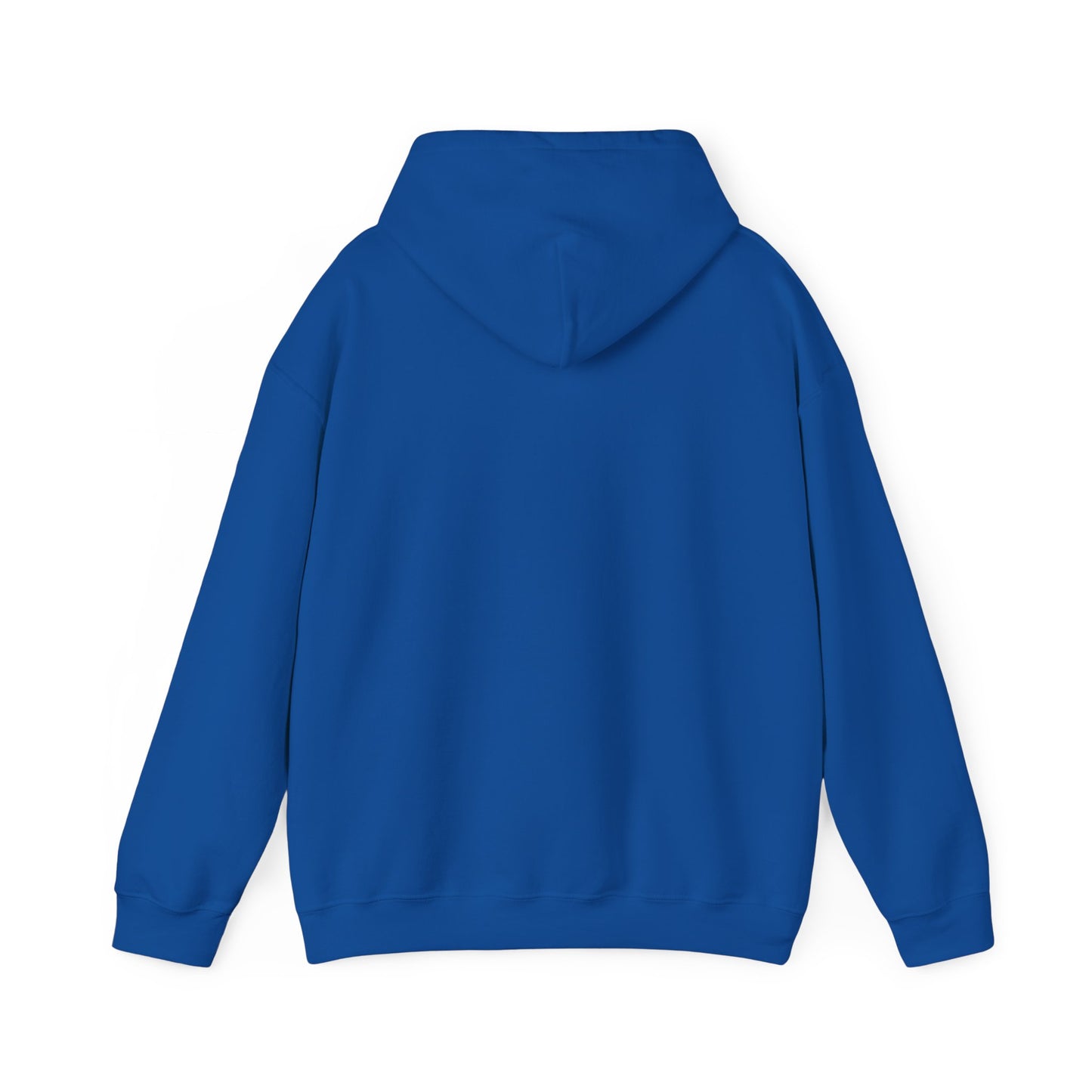 Team GEOINT Hooded Sweatshirt