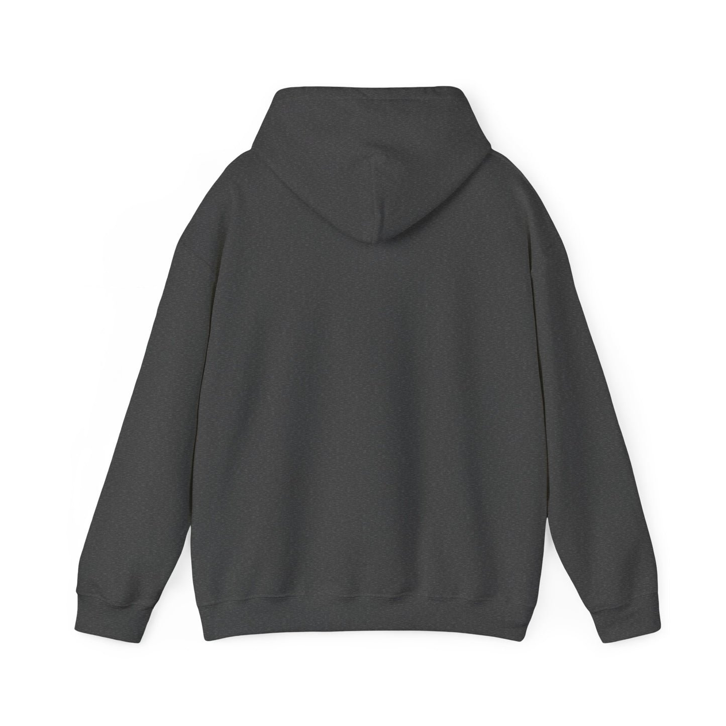 Team GEOINT Hooded Sweatshirt