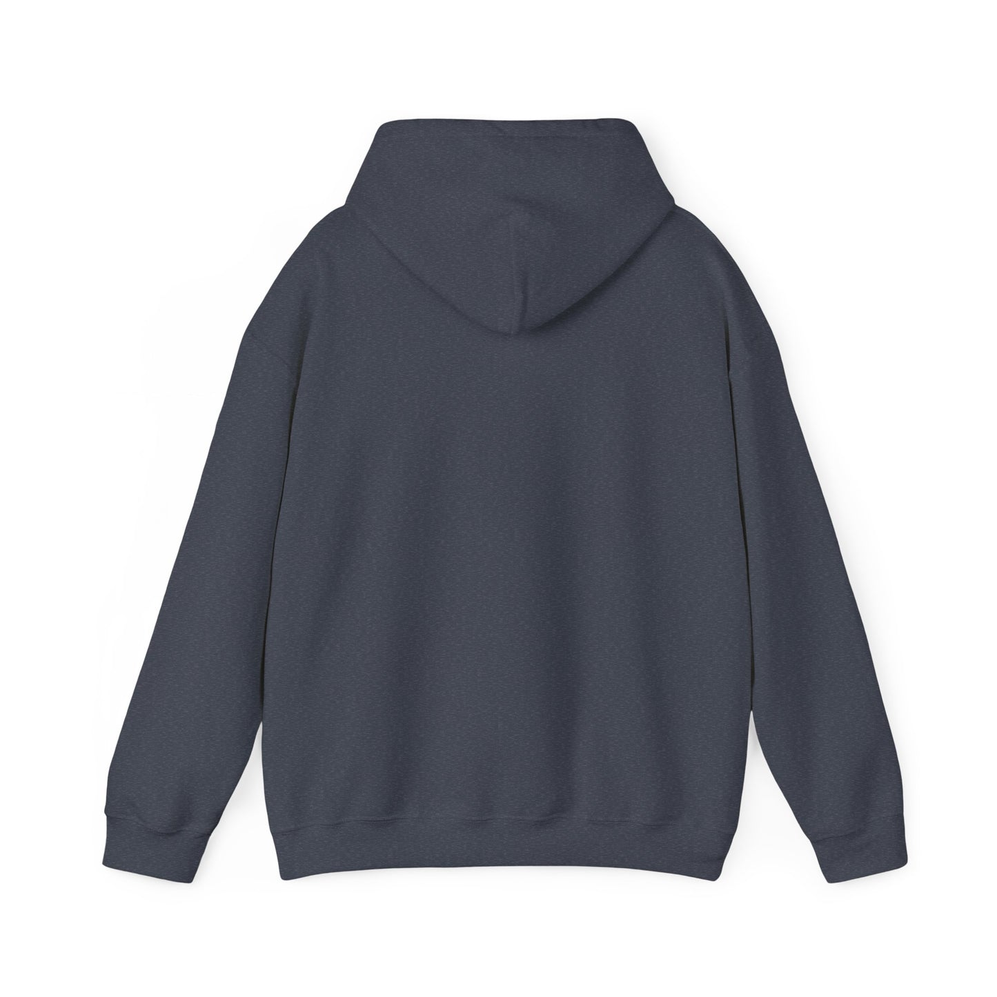 Team GEOINT Hooded Sweatshirt