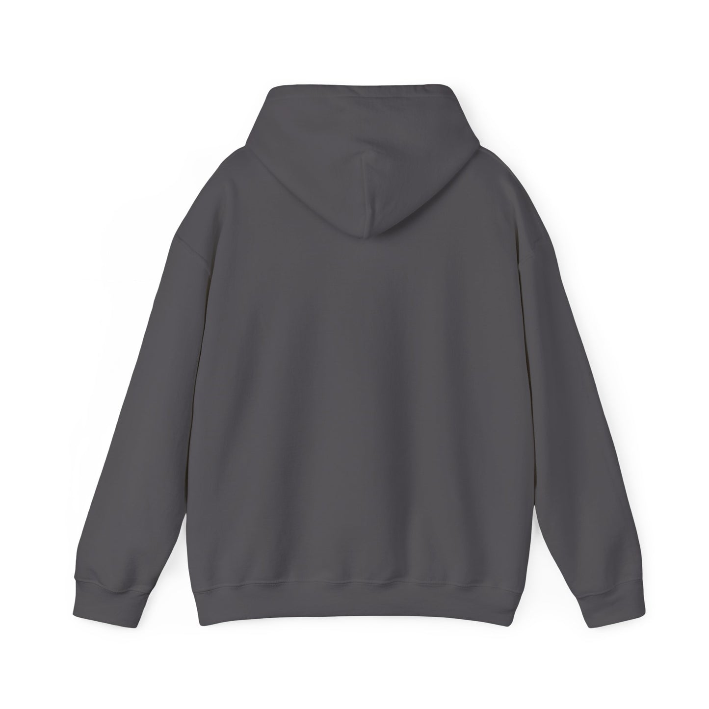 Team GEOINT Hooded Sweatshirt