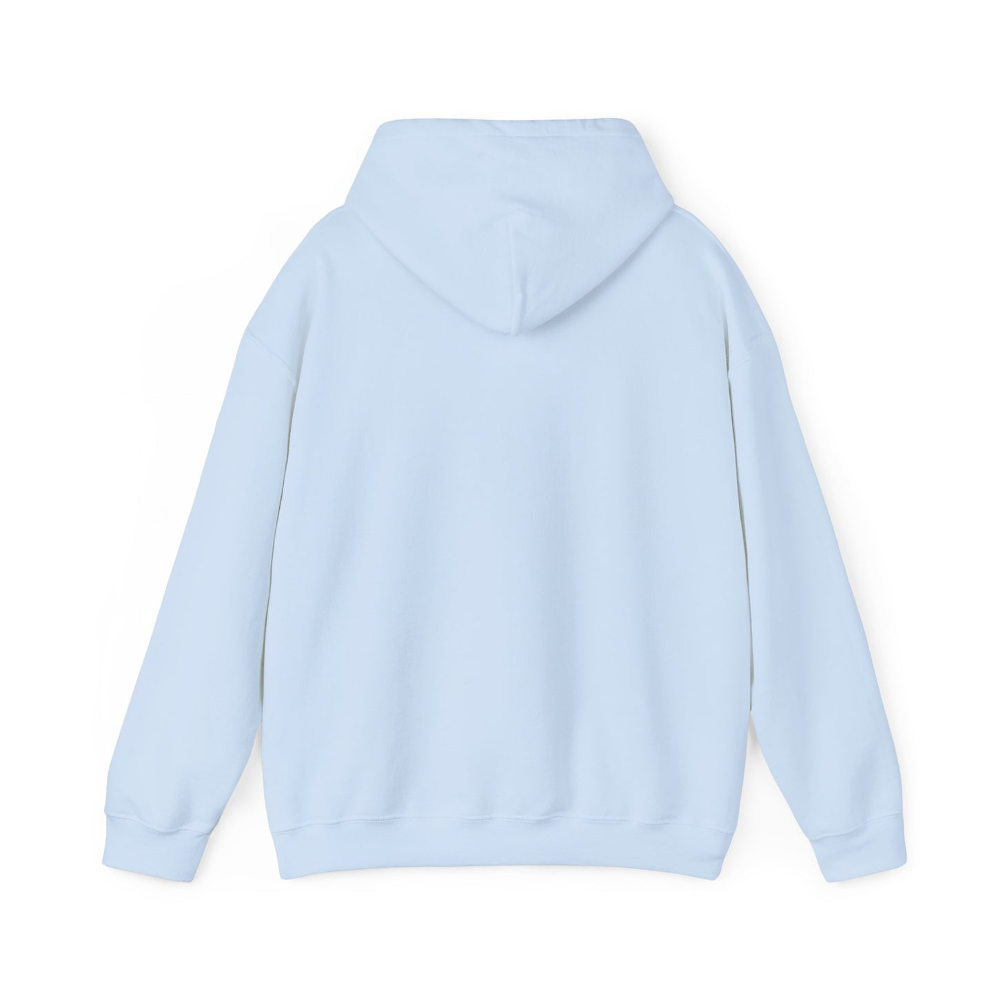 Team GEOINT Hooded Sweatshirt