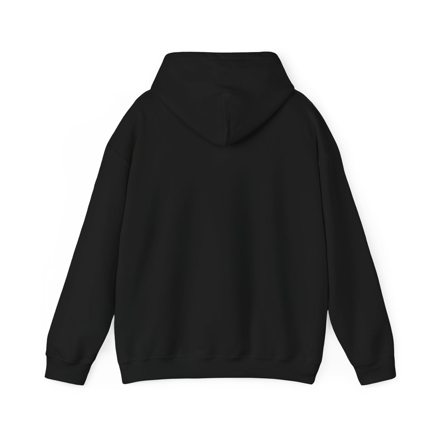 Team GEOINT Hooded Sweatshirt