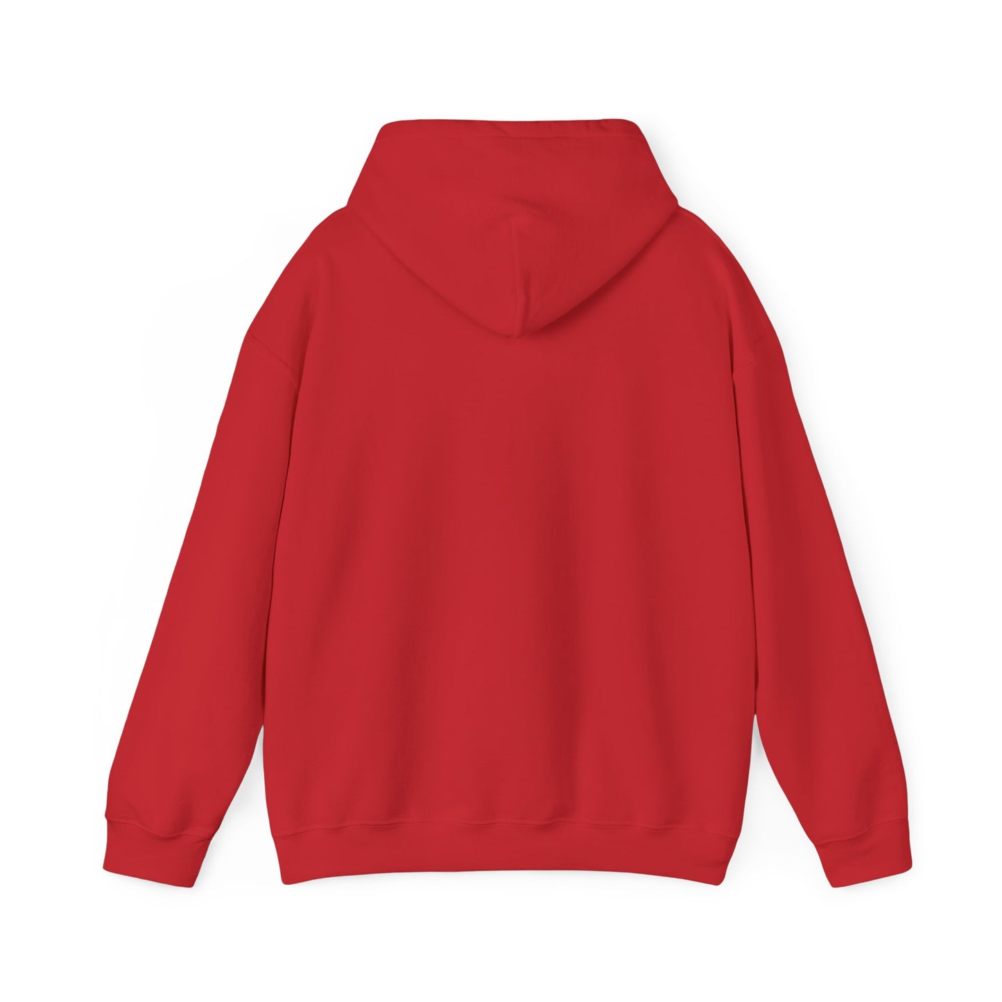 Team GEOINT Hooded Sweatshirt
