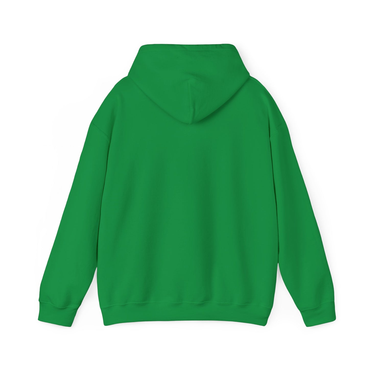 Team GEOINT Hooded Sweatshirt