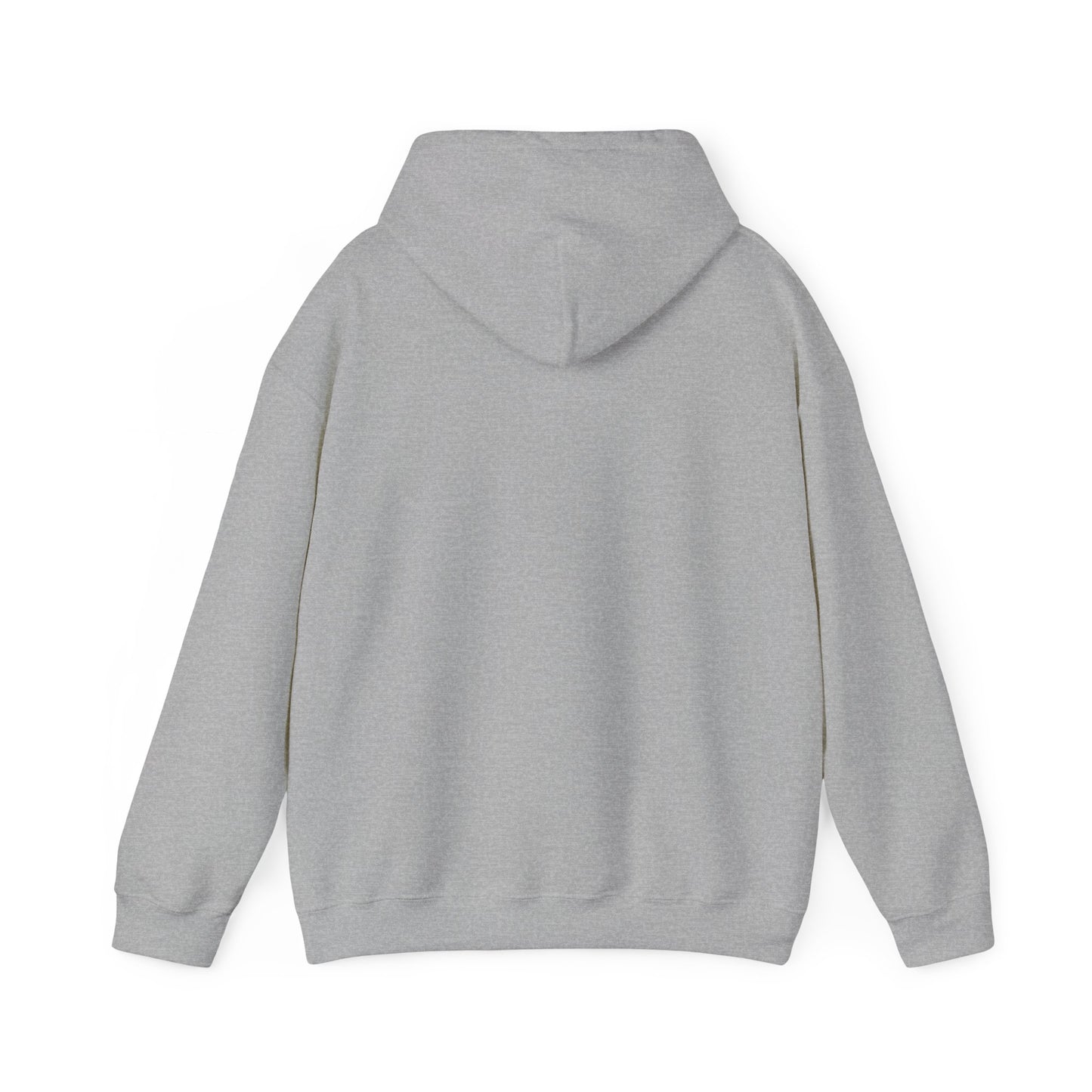 Team GEOINT Hooded Sweatshirt